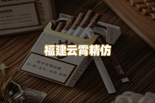 福建云霄精仿